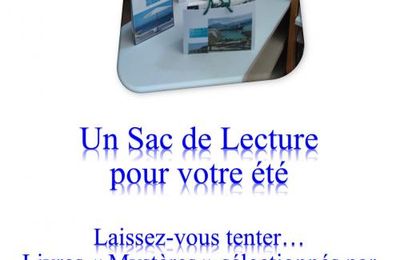 Les sacs de lecture mystères sont là...