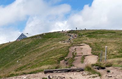 Circuit du Hohneck (5/5) : le Hohneck