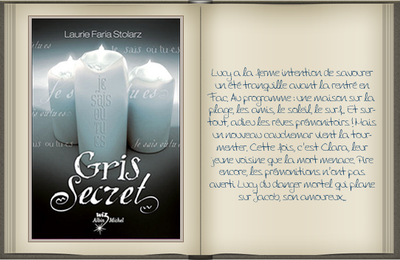 « Gris secret [03] » de Laurie Faria Stolarz