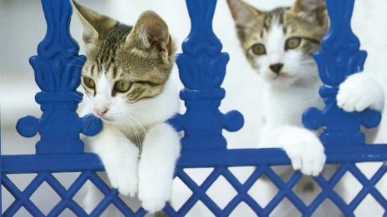  L'amitié, c'est toujours vivre un peu dans le coeur l'un de l'autre           