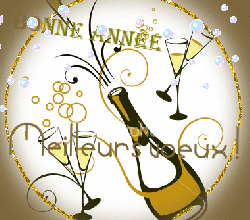 Mes voeux les meilleurs pour 2016