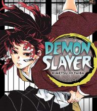 Online Read Ebook Demon Slayer: Kimetsu no Yaiba, Vol. 20