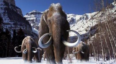 473. Qui prétend que l’on ne fait rien pour le climat ?