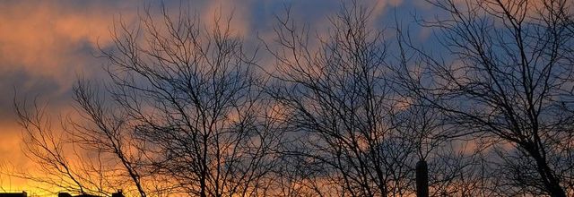 Coucher de soleil à Paris (19ème)