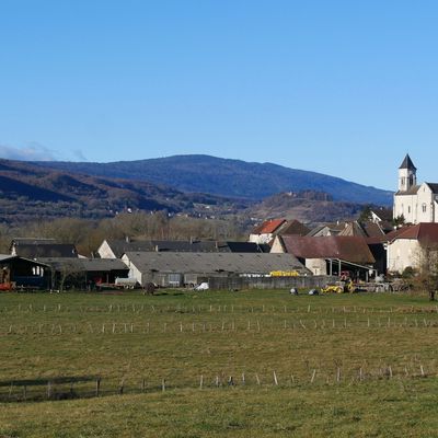 Le 12 janvier 2025 : Balade à Saint Martin de Bavel