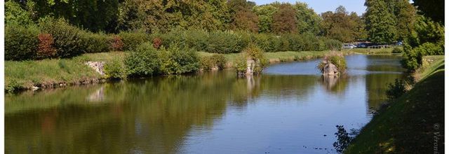 Rambouillet : Les oies du Parc du Château