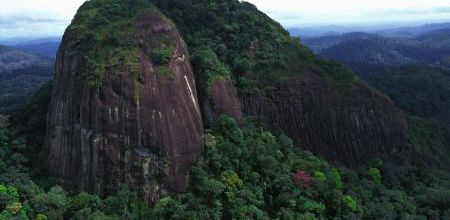 Vue aérienne d'un inselberg. émergeant de la forêt guyanaise. Guyane.