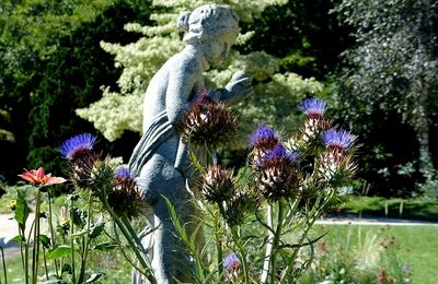 Metz / Rendez-vous d'été au Jardin Botanique...
