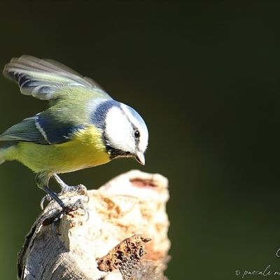 Au Refuge en novembre