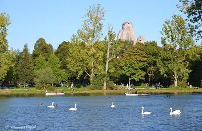 Lac Daumesnil : Couleurs d'Automne