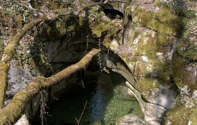 Le 12 avril 2019 : Autour de chez moi - 2