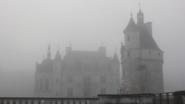 Arrêt sur image