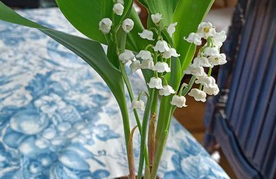 EB - Savez vous planter du muguet ? 