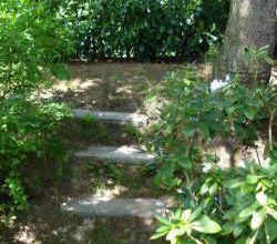 Autour de l'escalier