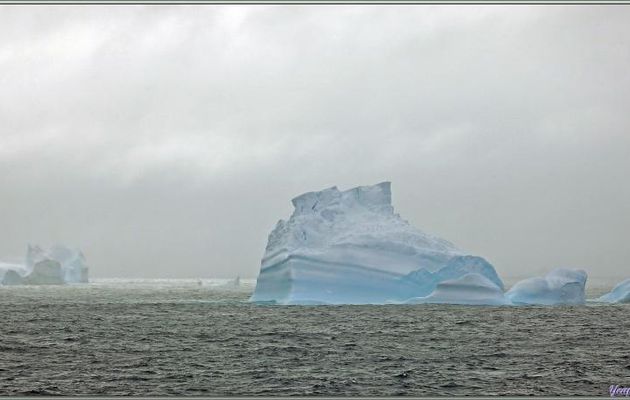 Les icebergs de Bellingshausen Sea en attendant ceux de demain de Amundsen Sea ...