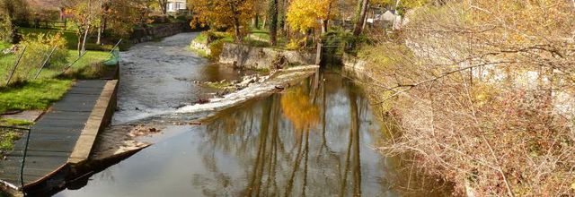 Balade de fin de matinée