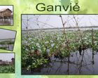 La Venise Africaine