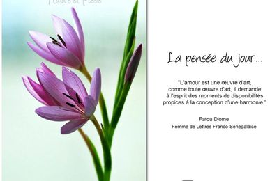La pensée du jour (207)