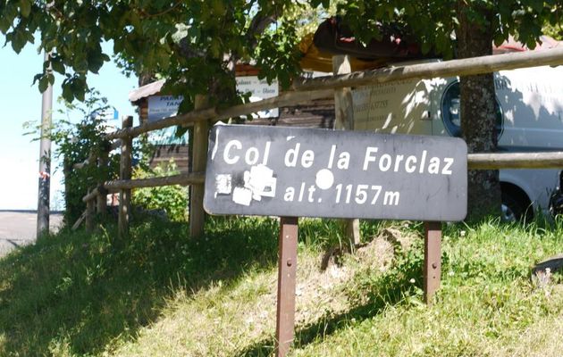 SUR LES HAUTEURS AU COL DE LA FORCLAZ