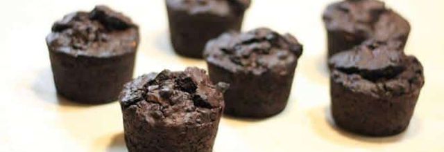 Gâteaux au chocolat sans sucre, sans gluten et sans lactose