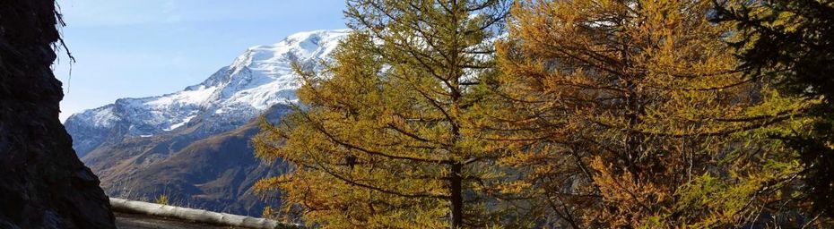 Paysages d’automne au Monal