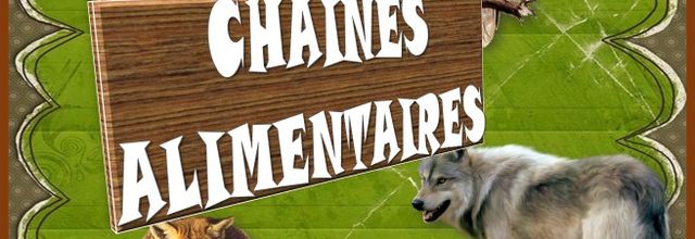 J'aime... les idées sur chaines alimentaire chez Récréatisse