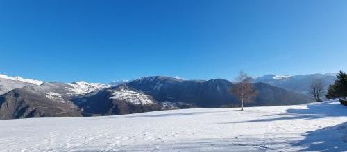Neige