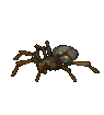 La petite araignée persévérante 