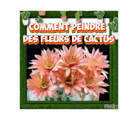 Dessin et peinture - vidéo 4457 : Comment peindre des cactus en fleur ? - acrylique ou huile.