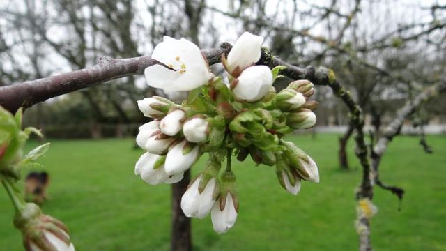 le printemps s'installe !!