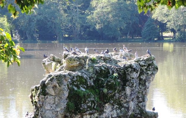 Le parc Majolan à Blanquefort 33 (4)
