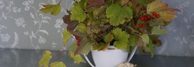 Bouquet de feuilles