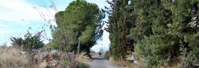 De vignes en vignes...
