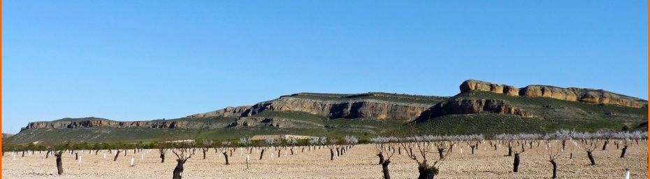 Sur le Camino del Sureste, étape à Albacete