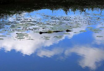 défi reflets d'Annie 22