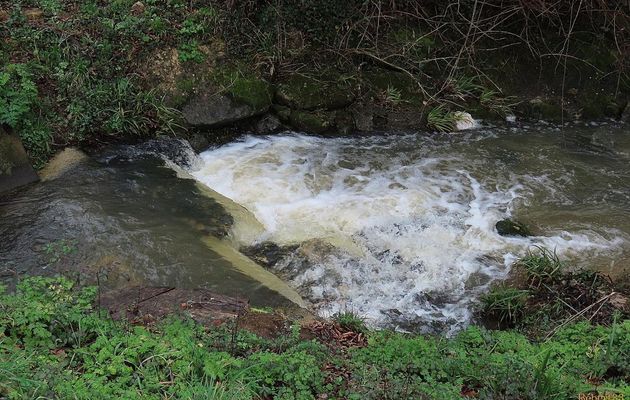le lavoir de mon village (33)