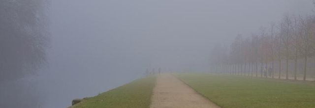 What a fog !