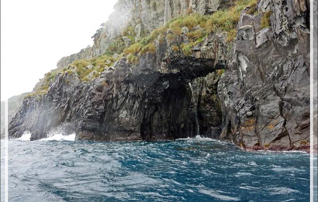 Nous pénétrons dans la grotte à ciel ouvert de Raised Beach - Gough Island - Tristan da Cunha