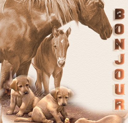 Une araignée au coloris 4030