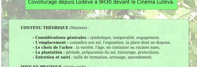 Planter un arbre
