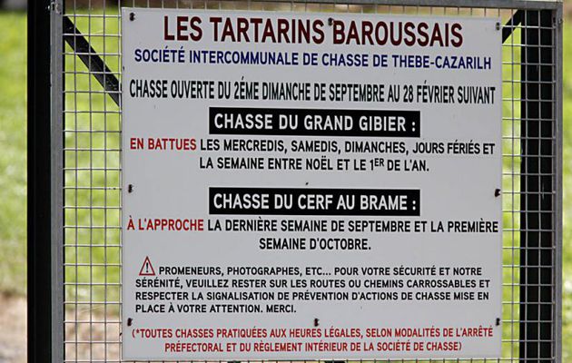Chasseurs :  des Tartarins toujours égaux à eux-mêmes, c'est à dire puants...