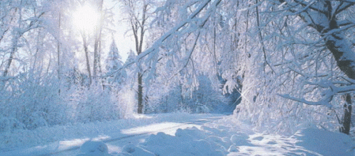 Soleil dans la neige