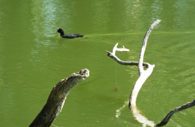 "Coups d'coeur" photos  pour ce week end ...