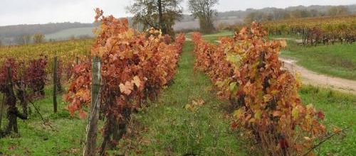 ... c'est l'automne...