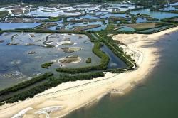 M10 / CR  Le Teich