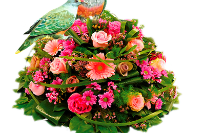 tube corbeille fleurs diverses