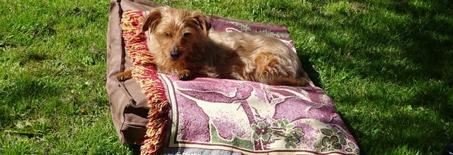 Dimanche au calme et au jardin
