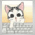 Le chat d'ordi