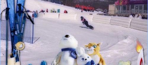  Les jeux olympiques 