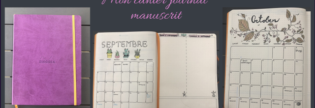 Cahier journal manuscrit